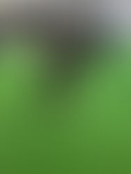 肩・首のコリ改善