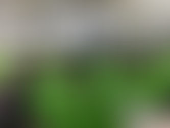 一緒に楽しく運動できる!