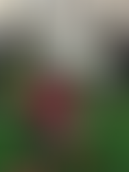 笑顔になれるデイサービスを目指して!