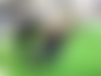 楽しい運動プログラムが充実!