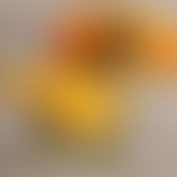 Em Dias De Calor Quais Frutas Posso Dar Para Meu Cachorro?