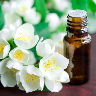 Jasmine Flower Essential Oil
