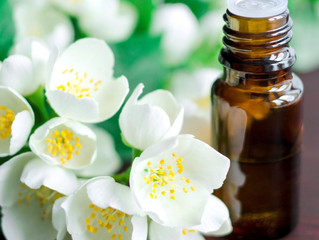 Jasmine Flower Essential Oil