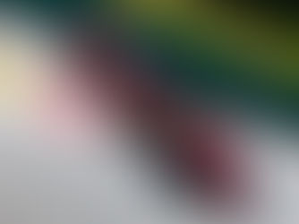 SAN LUIS POTOSÍ VIVIÓ EL GRAN PREMIO MORBIDELLI 2026
