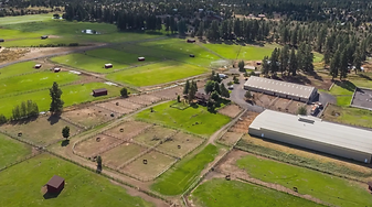 Screenshot 2025-06-11 133807.png