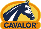 LOGO-CAVALOR-RGB-big_edited.png