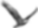Searchvision.png