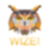 wiseclicks.png