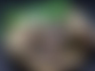 ”広島産の牡蠣” を使った限定カレー