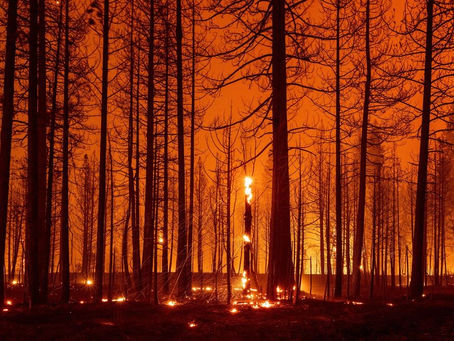 World News - In 10 years