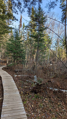 Superior HT Boardwalk.jpg