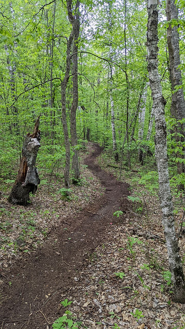 HuntersvilleTrail.jpg