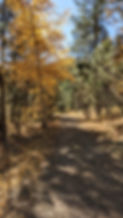 GraceCoolidgeTrail