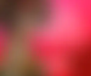 Tudo o que Você Precisa Saber Sobre a Beauty Fair 2024: O Evento Imperdível do Mundo da Beleza