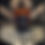 Thumbnail: Release 30cl