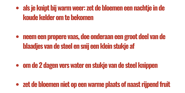 Bewaren bloemen.png