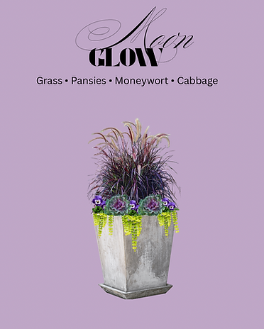 glow - 1.PNG
