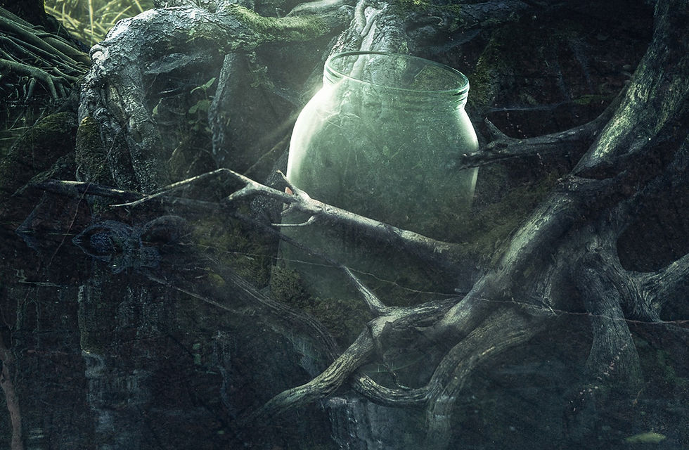 Where the Idea for Thirteen Jars Began