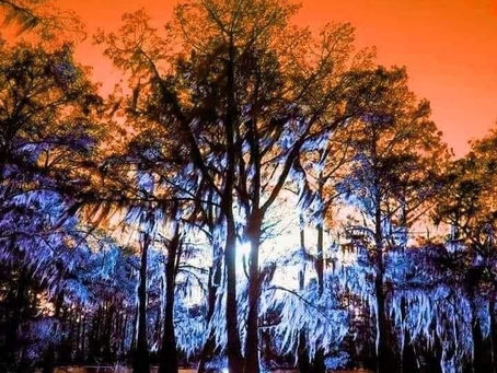 Readers React: Entering The Swamp In Sins of the Fathers