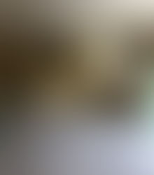 様々な秋