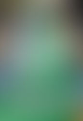 A Sweet Christmas for 99c? Yes.