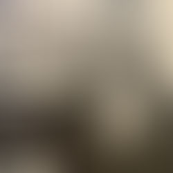 Regency-era Walnut Pudding