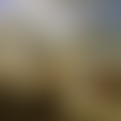 The Continental System: Proof that Trade Wars Are Like Boomerangs