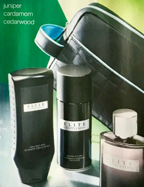 Join Avon, Become an Avon Rep, AVON, applyreps.co.uk