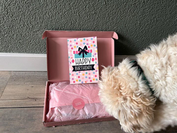 Thumbnail: Brievenbus Surprise