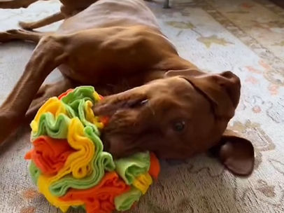 image0 (2)_edited.jpg