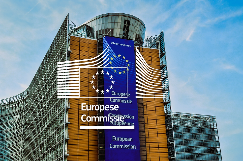 European Commission.PNG