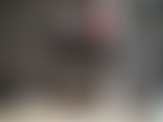 SE CONOCIERON LOS EJEMPLARES GANADORES DE LA EXPOSICIÓN DE LA GRANJA EN LA RURAL