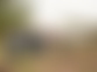 VISITA A LA HUERTA ORGÁNICA DE LA ESCUELA NRO 53