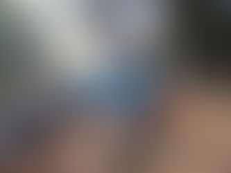 INCENDIO FORESTAL EN SECTOR DEL BASURAL DE GOROSTIAGA