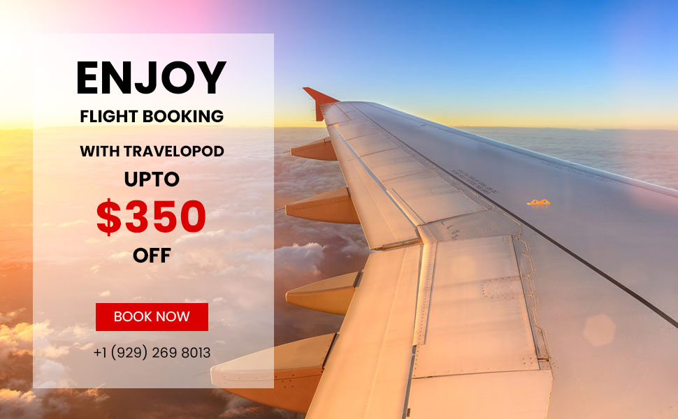 Top Tips to Score Cheap Flight Tickets to India: A Smart Guide for  Travelers | Travelopod Blogs