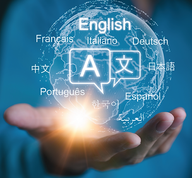 BILINGUAL SOFTWARE