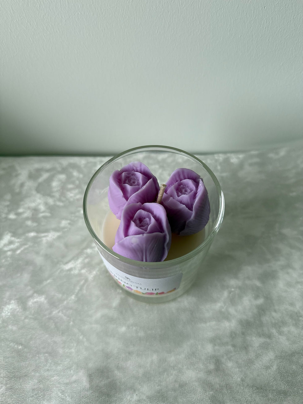 Thumbnail: Spring Tulpin 