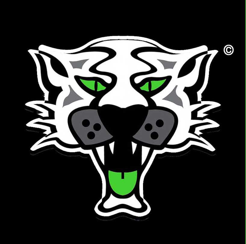 panthersfit logo3.jpg