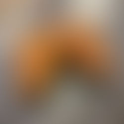 Ben talks at SupraParis