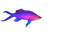 bFISHblue.gif