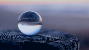 Simple consciencia (20 min)
