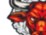 Thumbnail: CometCloud® Bull Rider Unisex Sew On Patch