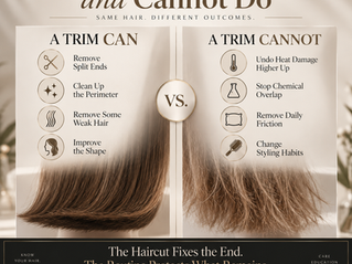 Comparison graphic showing what trimming damaged hair can fix and what ongoing causes of breakage it cannot correct.