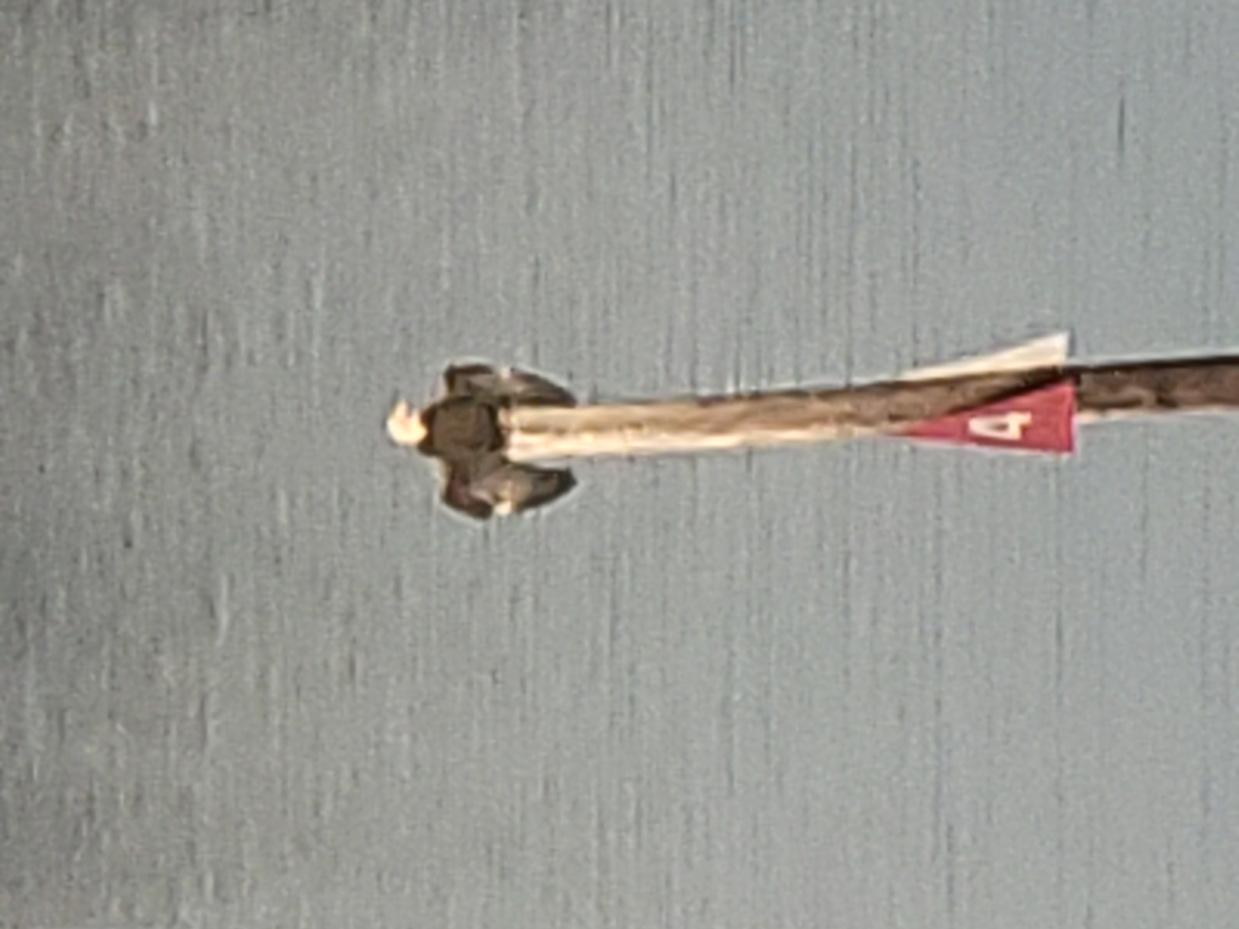 Downtown RV Park Onalaska, TX - Photo 2