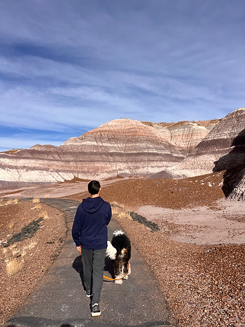 Does your pup want to be here? Petrified Forest National Park