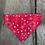 Thumbnail: Red with Harlequin Back Small Dog Bandana featuring Sassy