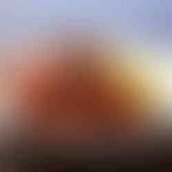 奥八女焚火の森キャンプフィールド