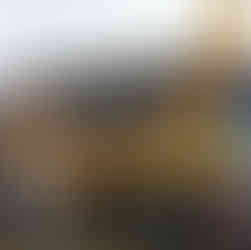 奥八女焚火の森キャンプフィールド