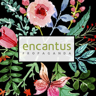 Foto do escritor: Contato | Encantus Propaganda