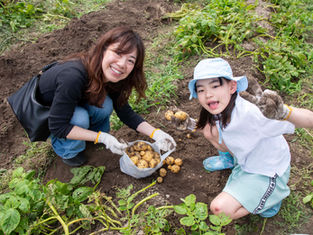 奥八女焚火の森キャンプフィールド
